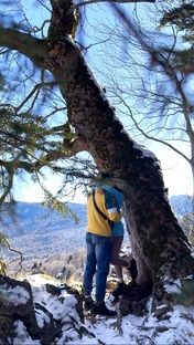 Живи сейчас 