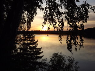 Осознанность и биоэнергетика