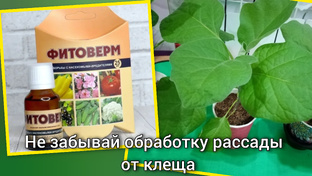 Аптечка огородника