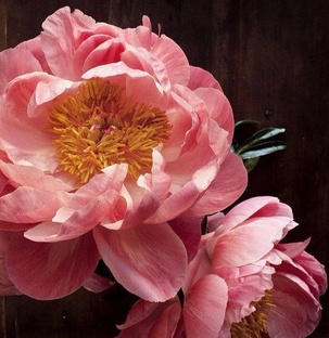 Как поднять настроение и не грустить