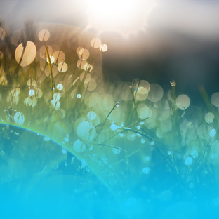 Светлые истории