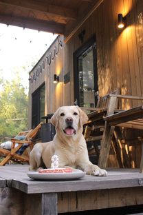 Рецепты от Кости