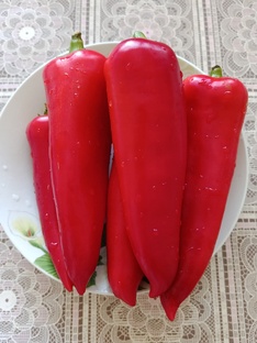 Партнёрская статья 