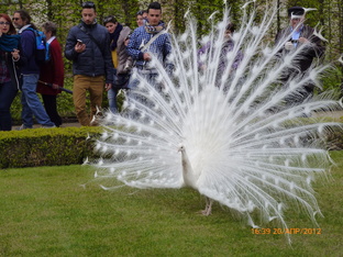 Незабываемый отпуск 