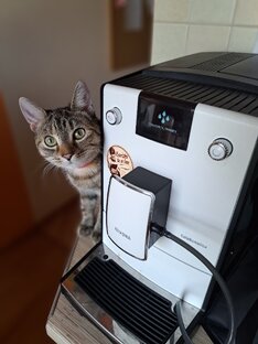 ремонт кофемашин 