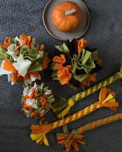 Игры для собак 