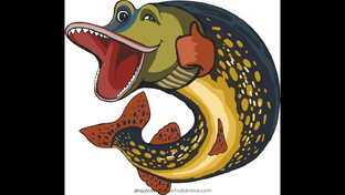 Майская щука