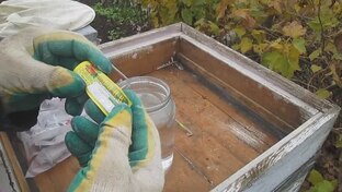 Лечение пчел