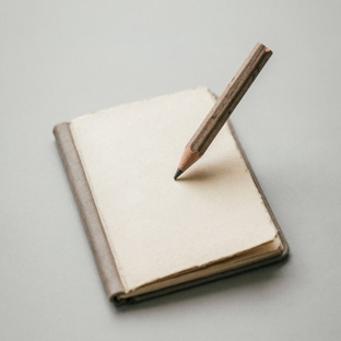 Дневник быта 