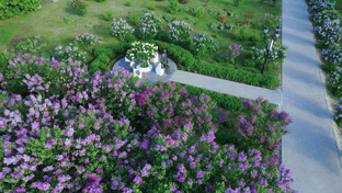 Музыкальные музеи России