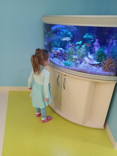 В поисках речи