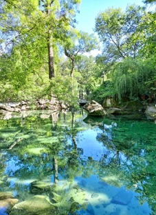Алупка. Воронцовский парк. 