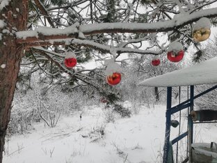 Жизнь в деревне
