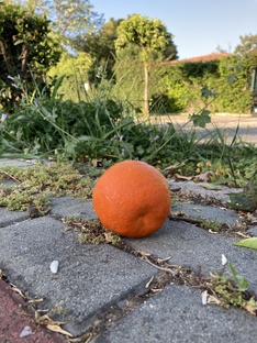 Турция 🇹🇷 апрель 2023