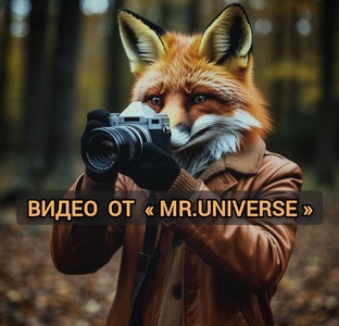 Видео  от «MR.UNIVERSE»