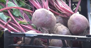 Корнеплоды