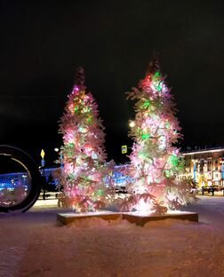 Прогулки  декабрь , январь 2024г и  2025г.