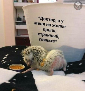 Просмотры более 10к