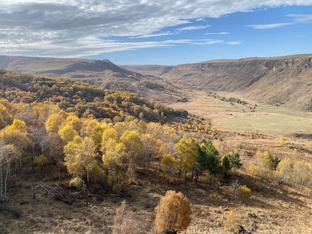 Кисловодские тропы