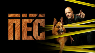 Пёс / Pes / 2015-2021