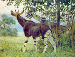 Крах дарвинизма и наука.