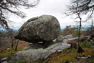 Сейд 2. Портрет каракулями