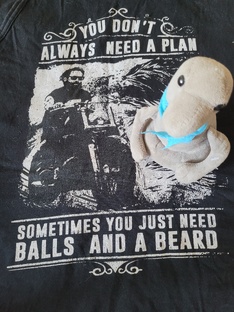 Зачем все это нужно или что за зверь путешественник