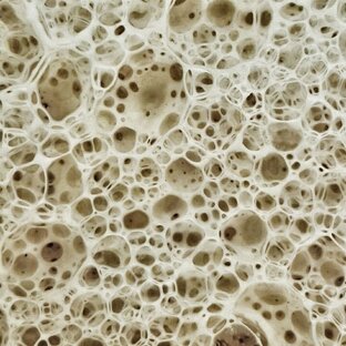 Все про закваску