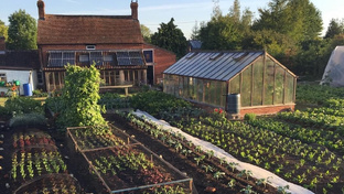 Огород осенью 