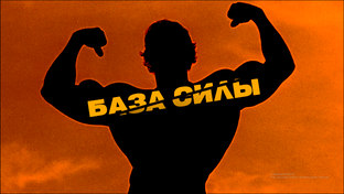БАЗА СИЛЫ