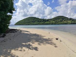 Рубрика "Позитивные сны"