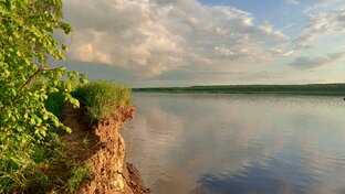 Статьи о ремонте и товарах