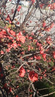 Работа для фасадчиков