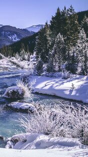 Звуки природы