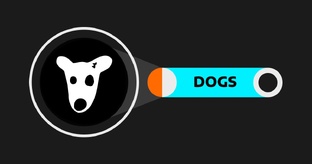 DOGS, что известно