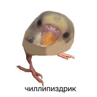 ЧИЛИПИЗДРИК