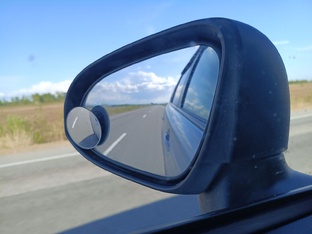 2024, или бешеной собаке 7 вёрст не крюк.