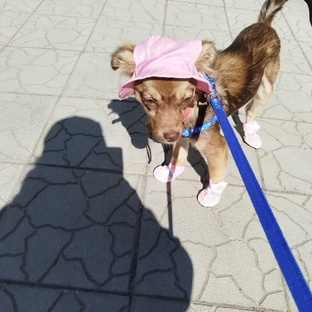 Бетти 