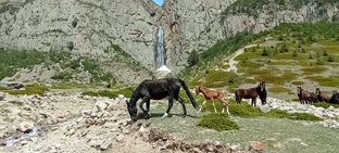 Туризм
