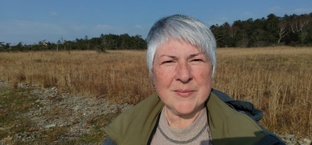 Кунаширские сезоны