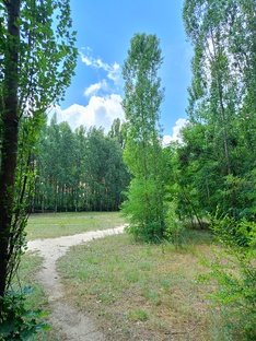 Сезонные болячки