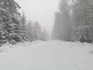 Радость для глаз