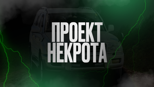 Проект "Некрота"