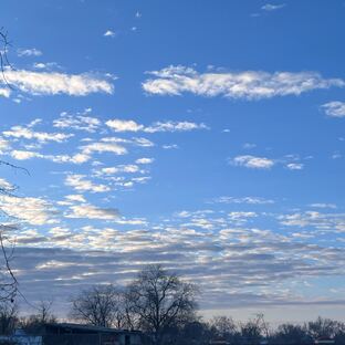 Февраль. Память и опора
