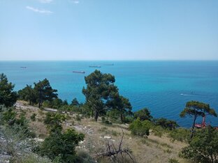 Через леса и города 