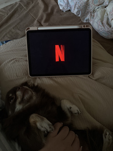 Кино и сериалы 🍿