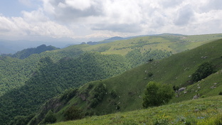 Наши путешествия и прогулки