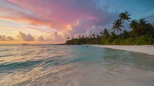 Путешествия