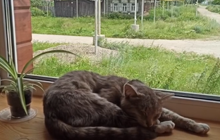 Рублик