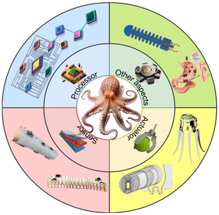 Нейробиороботика